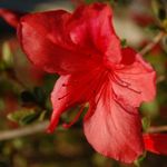 Profile Picture of Jason Fanelli (@fanelliphotos) on Instagram