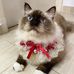 Profile Picture of Anna Loo (@anna.loo.35) on Facebook