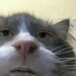 Joe Gough - Instagram Profile Picture of Joe Gough (@joe.gough_) on Instagram