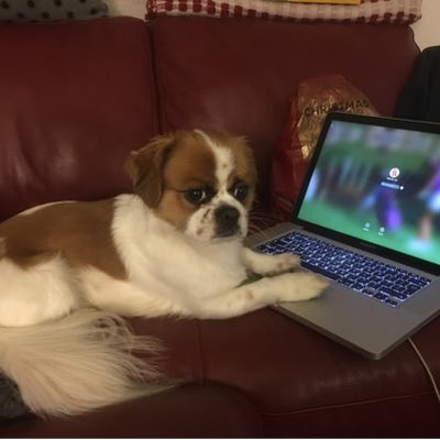 Profile Picture of Alexander Weir (@alexanderweir3) on Twitter