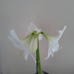 Profile Picture of eric goldsmith (@ericgoldsmith21) on Instagram