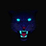 Profile Picture of Andrew Garbett (@garbett_andrew) on Instagram