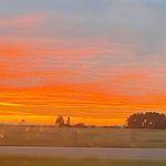 Profile Picture of Jayla Mitchell (@jaylamitchell4) on Instagram