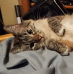 Profile Picture of Alexander Schear (@alexander.schear) on Facebook