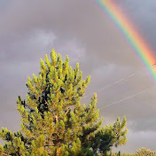 Profile Picture of Kris McClure (@kmdm1722) on Youtube