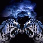 Profile Picture of Shawn Appleman (@shawn.appleman.75) on Facebook
