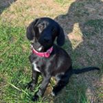 Profile Picture of jon-david reinecke (@reineckejondavid) on Instagram