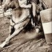 Profile Picture of Valerie Engelhardt (@huskernation8) on Pinterest