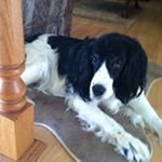 Profile Picture of Kim Laidlaw (@kim.laidlaw) on Instagram