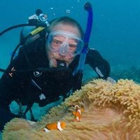 Profile Picture of Steve Viles (@steve-viles-1) on Quora