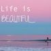 Profile Picture of Shawn Hamblin (@shamblin65) on Pinterest