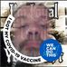 Profile Picture of Curtis Beeman (@curtis.beeman.7) on Facebook