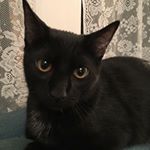Profile Picture of Renee Register (@registerrenee) on Instagram