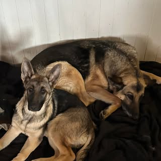 Profile Picture of Matthew Snowdon (@snowdon.matthew) on Instagram