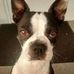 Profile Picture of Rick Damron (@rick.damron.39) on Facebook
