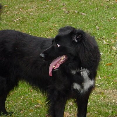 Profile Picture of Joy McCormick (@JoyHunter311) on Twitter