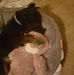 Profile Picture of Joanne Goode (@joanne.goode.9277) on Facebook