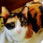 Profile Picture of pietro mazzoni (@peter_mazzo) on Instagram