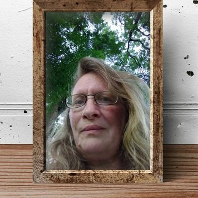 Profile Picture of Susan E Hamlin (@SusanEHamlin1) on Twitter