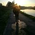 Profile Picture of Arron Krier (@arron.krier.3) on Facebook