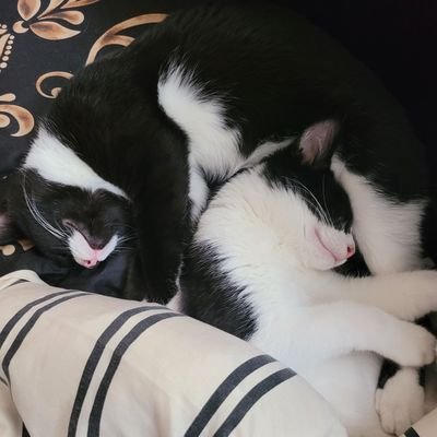 Profile Picture of Robert Rasmussen (@RobertR47668138) on Twitter