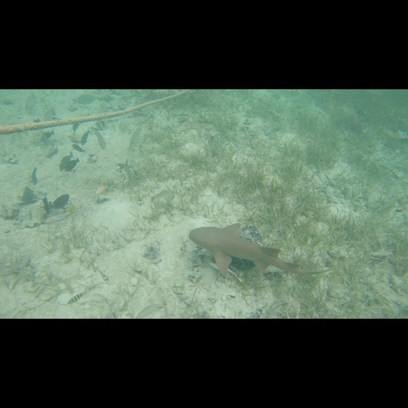 Profile Picture of Bisa Cakes (@bisa_cakes) on Poshmark