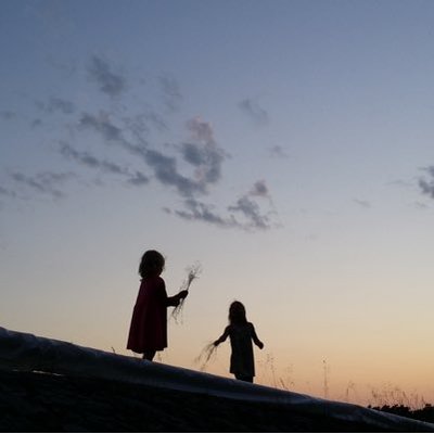 Profile Picture of Daniel Wallin (@82danwal) on Twitter