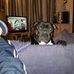 Profile Picture of Steve Bower (@steve.bower.184) on Facebook