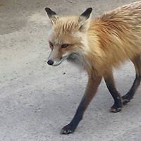 Daisy Flowers - Quora Profile Picture of Daisy Flowers (@daisy-flowers-2) on Quora