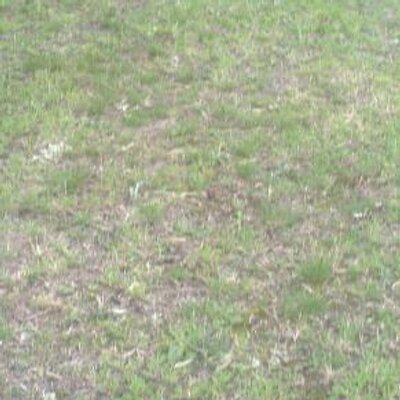 Profile Picture of MAXIMO J AVELLANEDA (@machiavellaneda) on Twitter