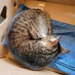 Profile Picture of Jonathan Spengler (@Jonathan-Spengler) on Facebook