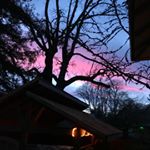 Profile Picture of Vicky Curry (@spiceycurryphd) on Instagram