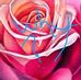 Profile Picture of Michael Roloff (@michael.roloff0u812) on Facebook
