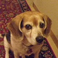 Profile Picture of Susan Applegate (@susan-applegate-3) on Quora