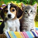 Profile Picture of Denise Browne (@browne.denise) on Instagram