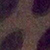 Profile Picture of kaylocklear (@kaylocklear) on Flickr