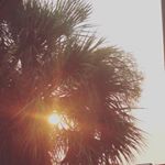 Profile Picture of Patrick Fortune (@pt_09) on Instagram