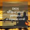 Profile Picture of Mitzi Chavez (@@palabrasdejesus4774435) on Tiktok