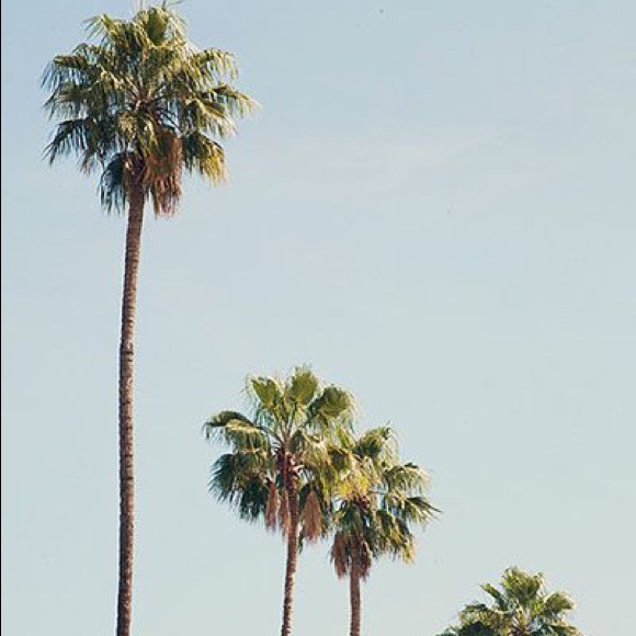 Profile Picture of Paw Paw (@paw_117) on Poshmark