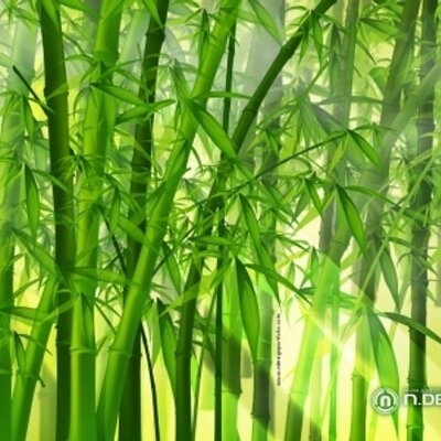 NIEVES G. - Twitter Profile Picture of NIEVES G. (@NievesLucia) on Twitter