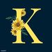 Profile Picture of Kim McCann (@kimamccann) on Pinterest