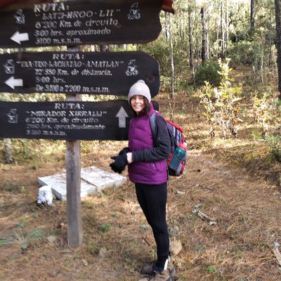 Profile Picture of JoAnn Hughes (@joannmhughes) on Twitter