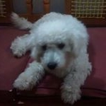 Profile Picture of Chris Villegas (@chris_cabanas) on Instagram