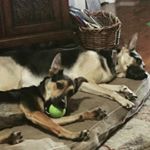 Profile Picture of Pat Sherman (@sunkenunicorn75) on Instagram