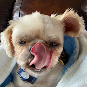 Profile Picture of Kevin Mowry (@kevinmowry4330) on Youtube