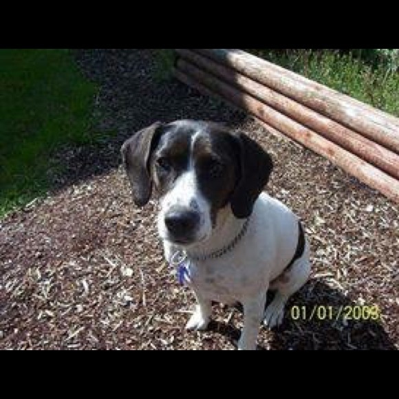 Profile Picture of Julia Braukman (@jewlz67) on Poshmark