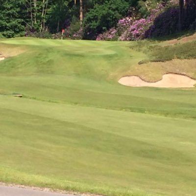 Profile Picture of Julia Iveson (@julia_iveson) on Twitter