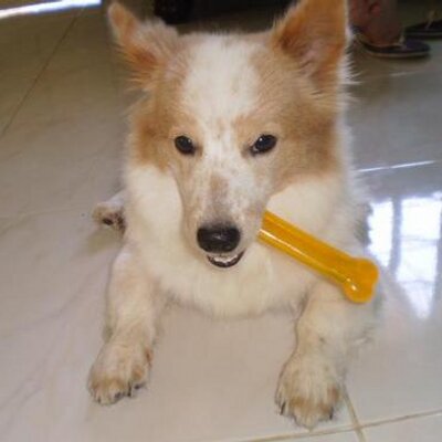 Profile Picture of Brad McCarthy (@BradMcCarthy2) on Twitter