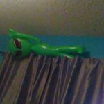 Profile Picture of Erik Balboa (@erik.balboa) on Instagram