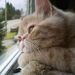 Profile Picture of Steve Kwong (@sdlkwong) on Pinterest